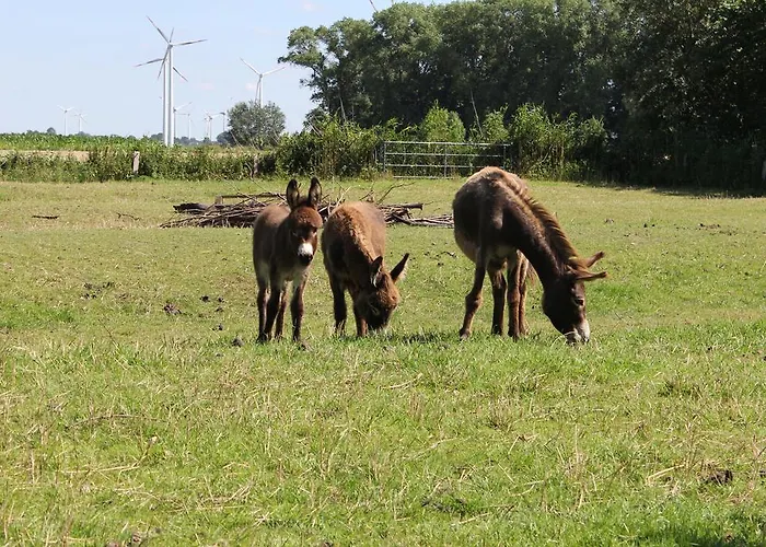 Casa vacanze Achtern Diek